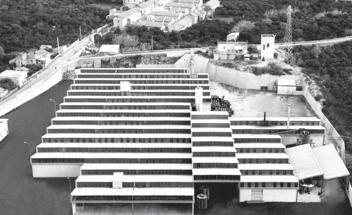 1955