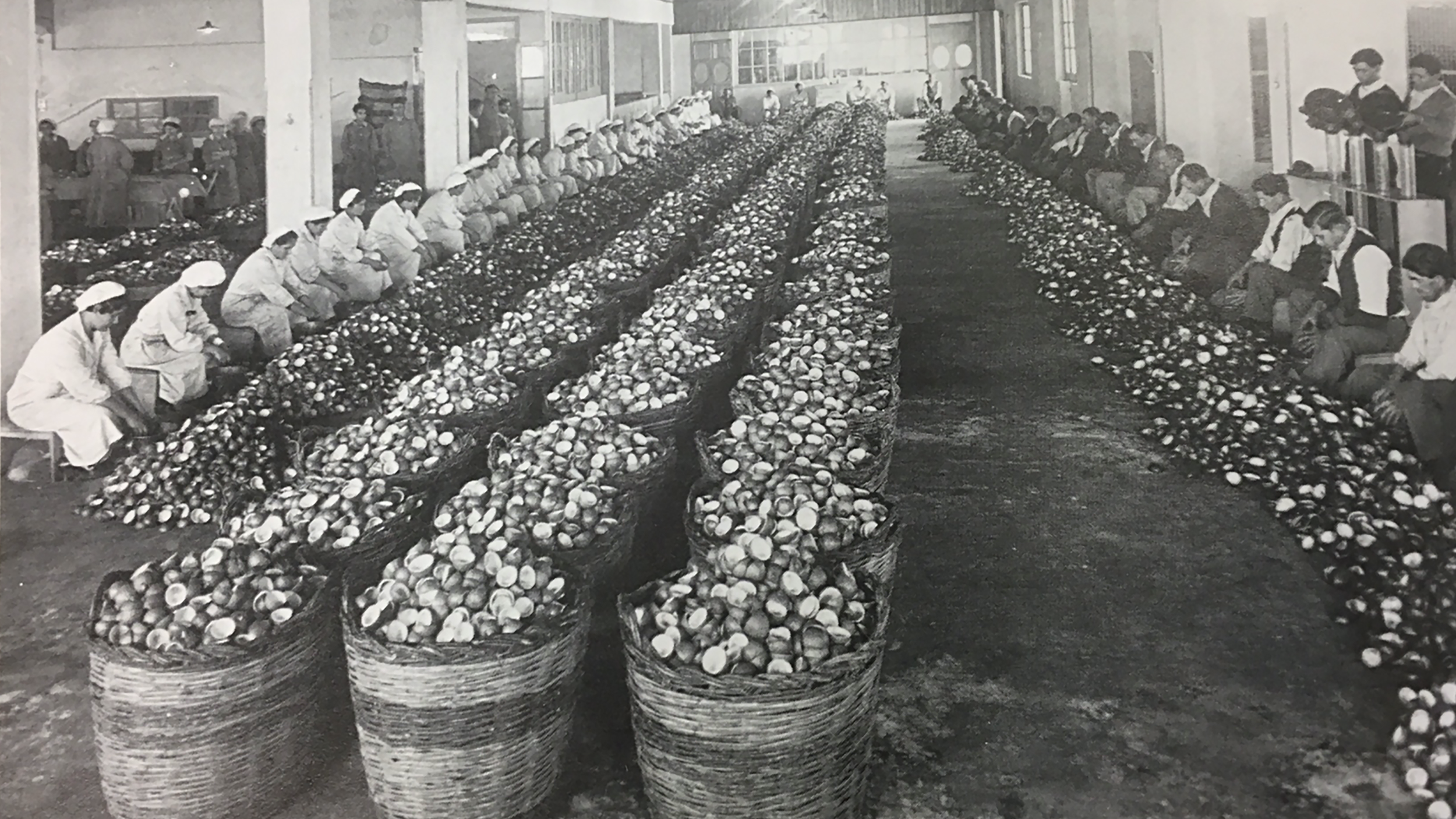 1885